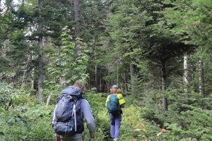 Randonneurs sur le Sentier International des Appalaches au Québec (SIA-Qc), secteur "Avignon". Randonnée guidée par Nature Aventure.