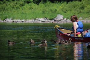 décrochage forfait guidé karavanier rivière patapédia guide activité canot kayak famille