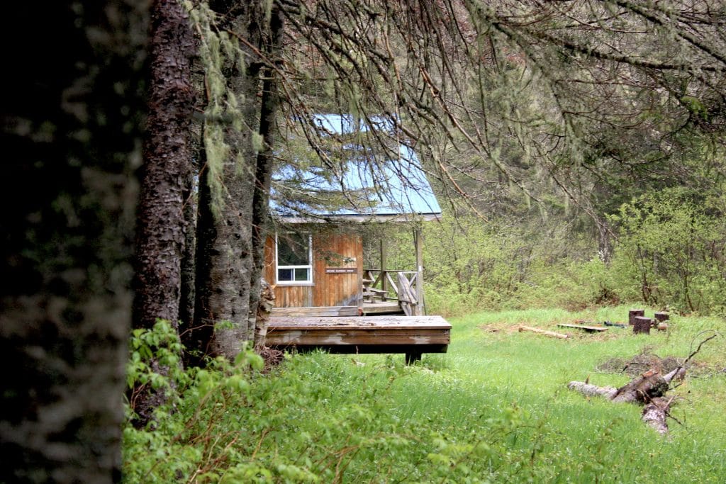 Randonnée pédestre au refuge du "Ruisseau Creux" sur le Sentier International des Appalaches du Québec (SIA-Qc) en Gaspésie