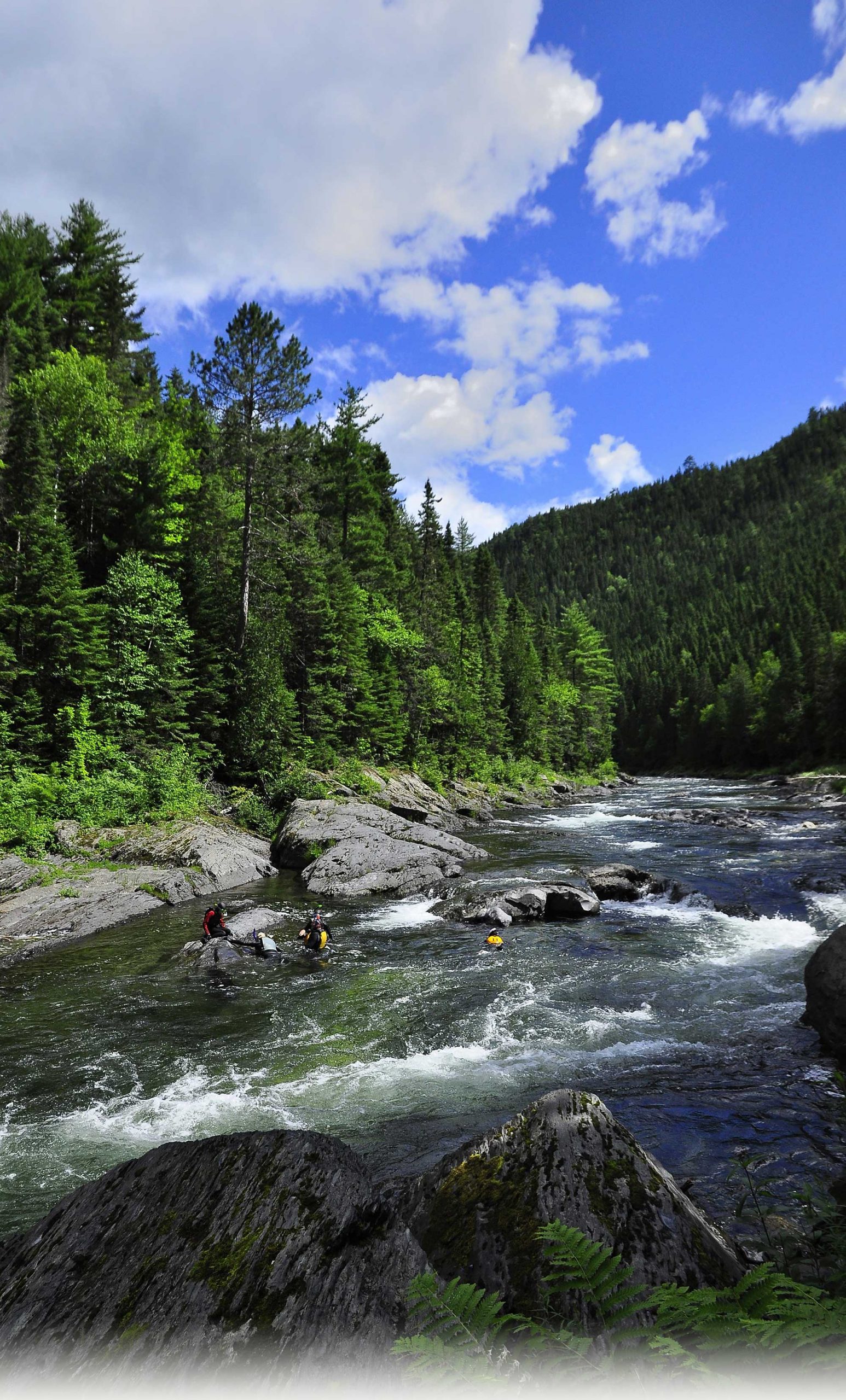 activité plongée apnée rivière Assemetquagan rapides faune flore saumon forfait guidé gaspésie