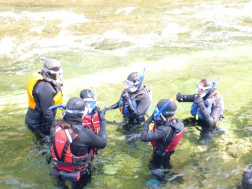 activité plongée apnée rivière Assemetquagan rapides faune flore saumon forfait guidé gaspésie